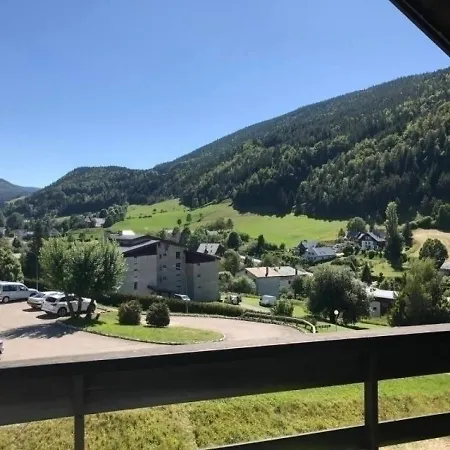 De Lans - 4 Pers, 22 M2, 1/0 Villard-de-Lans